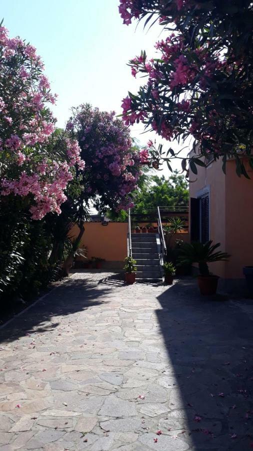 B&B Fiumicino Airport Resort ภายนอก รูปภาพ