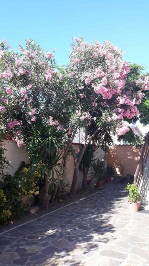 B&B Fiumicino Airport Resort ภายนอก รูปภาพ
