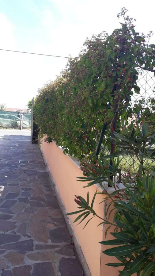 B&B Fiumicino Airport Resort ภายนอก รูปภาพ