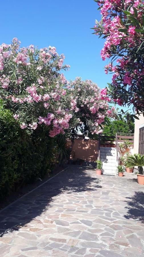 B&B Fiumicino Airport Resort ภายนอก รูปภาพ